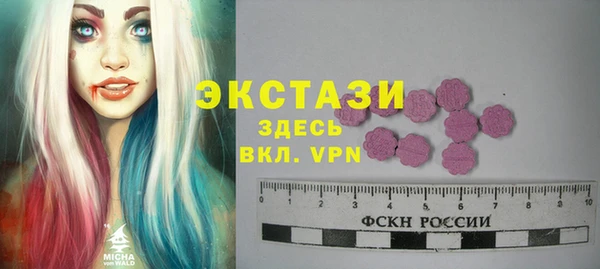 прущий лед Вяземский