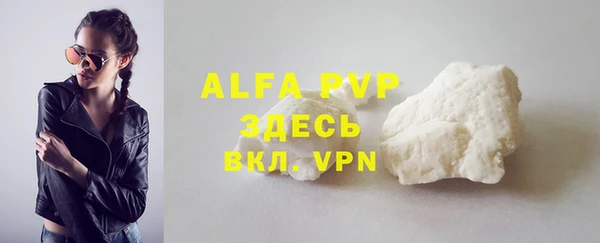 прущий лед Вяземский
