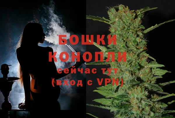 гидропоника Вязьма