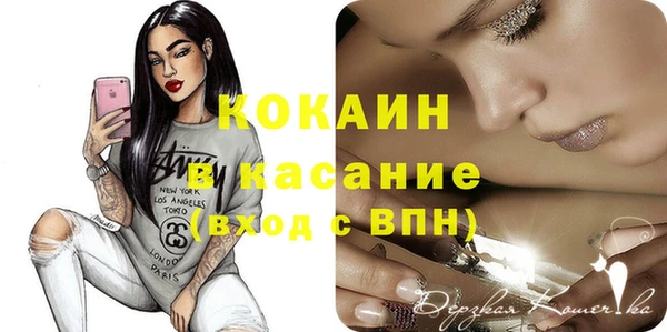 прущий лед Вяземский