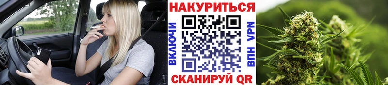 Шишки марихуана семена Купить Красновишерск